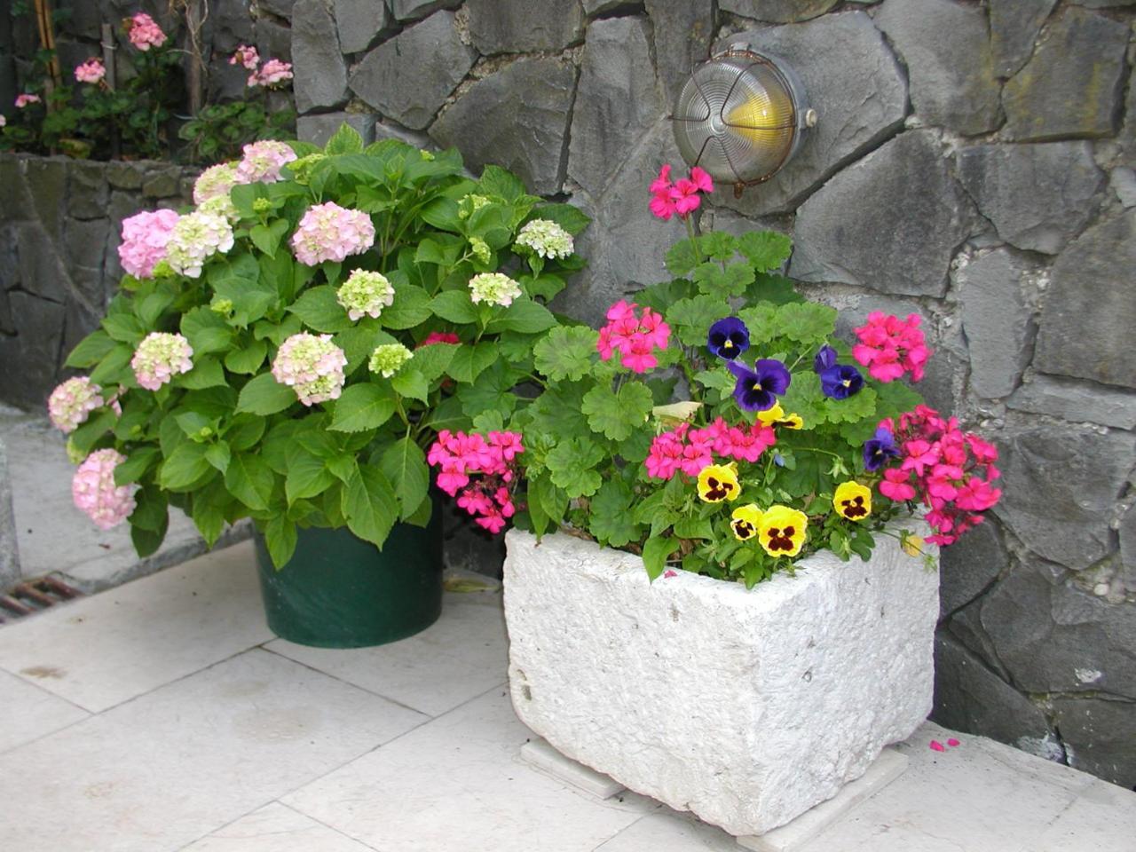 Apartmani Antunovic Podgora Exterior foto